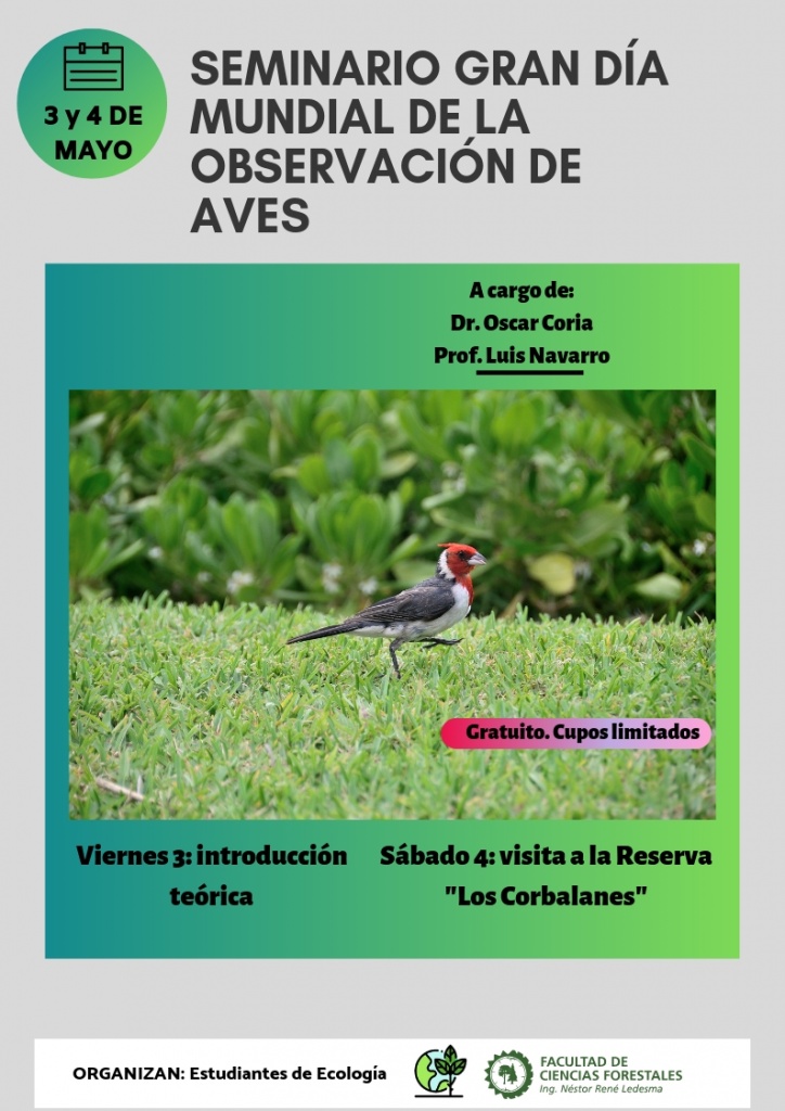 dia mundial-observando aves.jpg