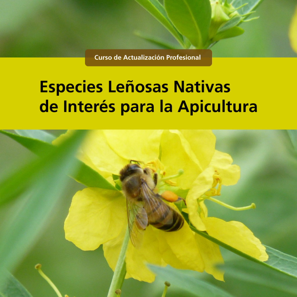 portada-curso.png