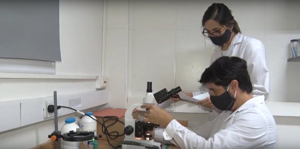 laboratorio.jpg