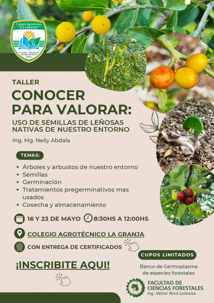 Taller Conocer para valorar - uso de semillas de leñosas nativas de nuestro entorno_page-0001.jpg