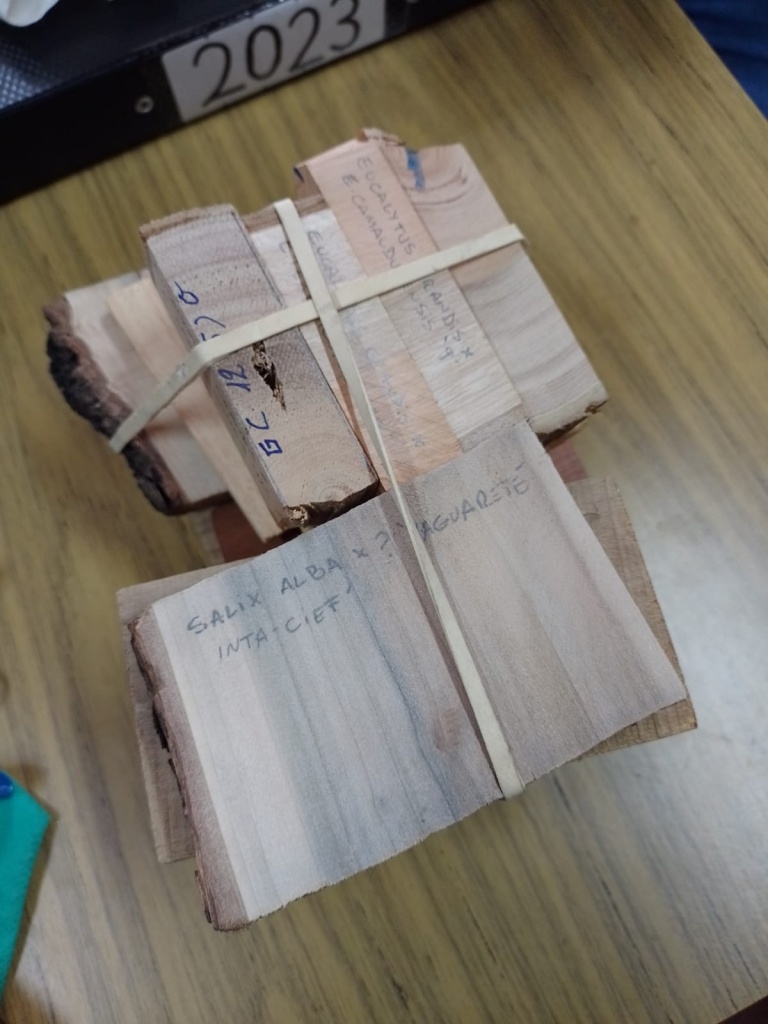 Muestras UNLP.jpeg