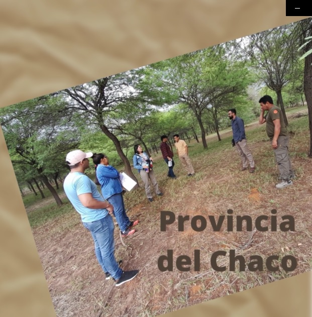 chaco.jpg