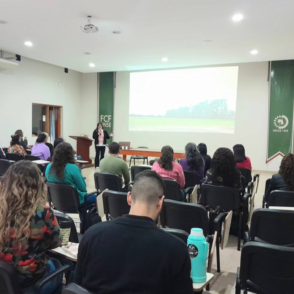 ciclo1.jpg