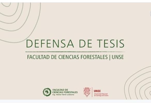 tesis.jpg
