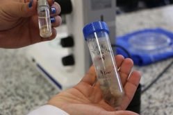 Laboratorios 2017_19