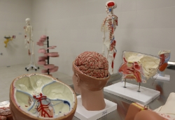 Laboratorios 2017_74