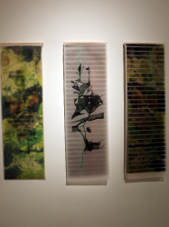 Muestra Universitaria de Arte _65