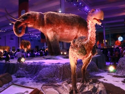 Tecnópolis Federal_11