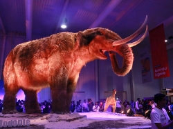 Tecnópolis Federal_7